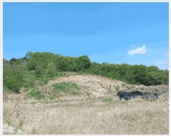  2025Ÿ��403 �泲 ����� ���߰�� ���̸� 279-3      ����(�Ӿ�)���