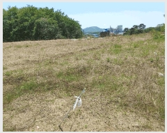  2025Ÿ��403 �泲 ����� ���߰�� ���̸� 279-3      ����(�Ӿ�)���