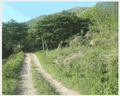  2025Ÿ��417 �泲 ����� ����� �ž縮 3-12      ����(�Ӿ�)���