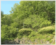  2025Ÿ��417 �泲 ����� ����� �ž縮 3-12      ����(�Ӿ�)���