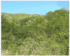  2025Ÿ��417 �泲 ����� ����� �ž縮 3-12      ����(�Ӿ�)���