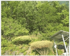  2025Ÿ��417 �泲 ����� ����� �ž縮 3-12      ����(�Ӿ�)���