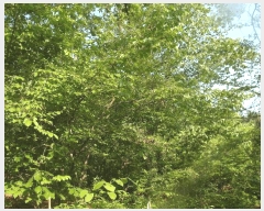  2025Ÿ��417 �泲 ����� ����� �ž縮 3-12      ����(�Ӿ�)���