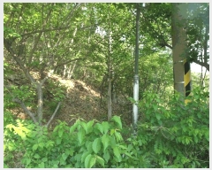  2025Ÿ��417 �泲 ����� ����� �ž縮 3-12      ����(�Ӿ�)���