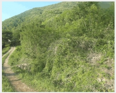  2025Ÿ��417 �泲 ����� ����� �ž縮 3-12      ����(�Ӿ�)���