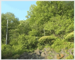  2025Ÿ��417 �泲 ����� ����� �ž縮 3-12      ����(�Ӿ�)���