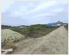  2025Ÿ��421  ����