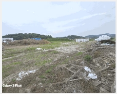  2025Ÿ��421  ����