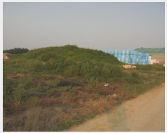  2025Ÿ��421  ����