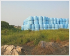  2025Ÿ��421  ����