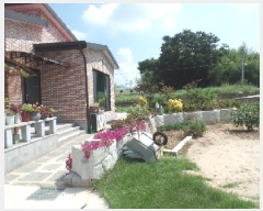  2025Ÿ��431  ���ð��