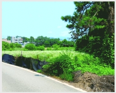  2025Ÿ��436  ����