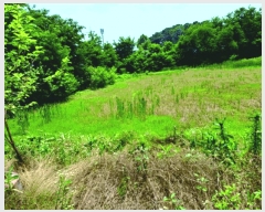  2025Ÿ��436  ����