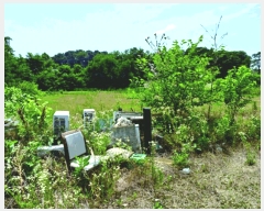  2025Ÿ��436  ����