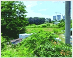  2025Ÿ��436  ����