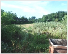  2025Ÿ��436  ����