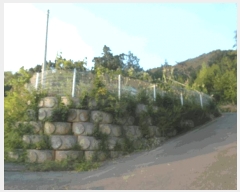  2025Ÿ��442 �泲 ����� ���̸� ���̸� 446-2 ��1��     ���ð��