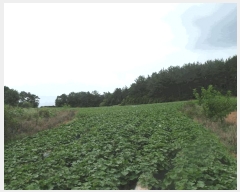  2025Ÿ��447 �泲 ����� ����� ������ 54-1      ����(��1)���