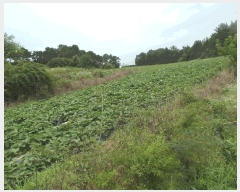  2025Ÿ��447 �泲 ����� ����� ������ 54-1      ����(��1)���