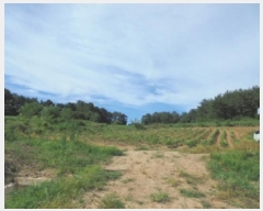  2025Ÿ��447 �泲 ����� ����� ������ 54-1      ����(��1)���