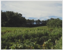  2025Ÿ��447 �泲 ����� ����� ������ 54-1      ����(��1)���