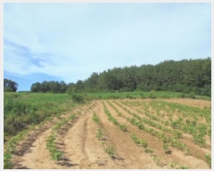  2025Ÿ��447 �泲 ����� ����� ������ 54-1      ����(��1)���