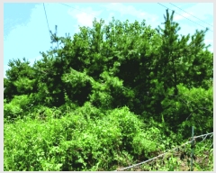  2025Ÿ��455 �泲 �ο��� �Ծϸ� ������ 364-3      ����(����)���