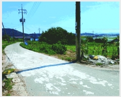  2025Ÿ��455 �泲 �ο��� �Ծϸ� ������ 364-3      ����(����)���