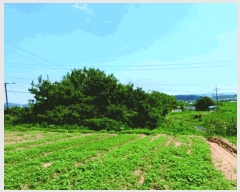  2025Ÿ��455 �泲 �ο��� �Ծϸ� ������ 364-3      ����(����)���