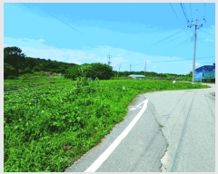  2025Ÿ��455 �泲 �ο��� �Ծϸ� ������ 364-3      ����(����)���