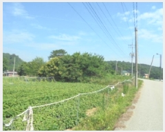  2025Ÿ��455 �泲 �ο��� �Ծϸ� ������ 364-3      ����(����)���