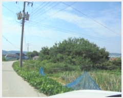  2025Ÿ��455 �泲 �ο��� �Ծϸ� ������ 364-3      ����(����)���