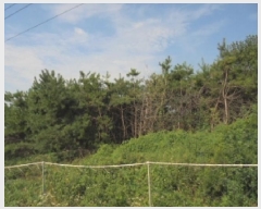  2025Ÿ��455 �泲 �ο��� �Ծϸ� ������ 364-3      ����(����)���