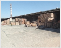  2025Ÿ��20037  ������