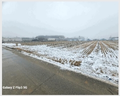  2025Ÿ20174 泲    106-1      ()