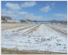  2025Ÿ20174 泲    106-1      ()