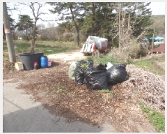  2025Ÿ��20242  �����