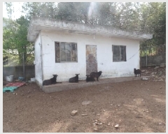  2025Ÿ��20242 �泲 ����� ����� ������ 49      ����(����)���