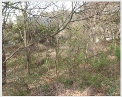  2025Ÿ��20242  �����