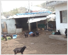  2025Ÿ��20242  �����