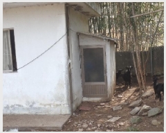  2025Ÿ��20242  �����