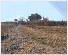  2025Ÿ20270 泲 ο ̸ һ縮 69-22      (Ӿ)