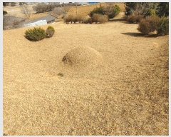  2025Ÿ20270 泲 ο ̸ һ縮 69-22      (Ӿ)