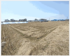  2025Ÿ20270 泲 ο ̸ һ縮 69-22      (Ӿ)