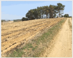  2025Ÿ20270 泲 ο ̸ һ縮 69-22      (Ӿ)