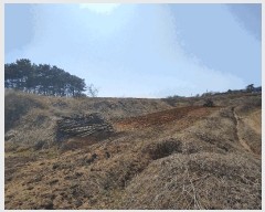  2025Ÿ20270 泲 ο ̸ һ縮 69-22      (Ӿ)