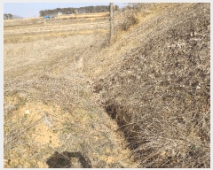  2025Ÿ20270 泲 ο ̸ һ縮 69-22      (Ӿ)