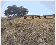  2025Ÿ20270 泲 ο ̸ һ縮 69-22      (Ӿ)