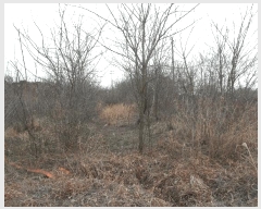  2025Ÿ��20277 �泲 ����� ������ ��縮 281-1      ����(��1)���