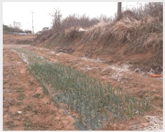  2025Ÿ��20277 �泲 ����� ������ ��縮 281-1      ����(��1)���